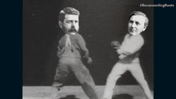 Fight Beat Up GIF by Reconnecting Roots