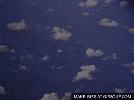 https://media2.giphy.com/media/JZhLEDxdg6yTS/200.gif