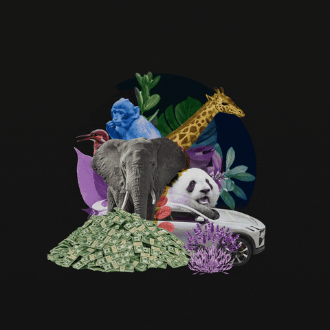 Text gif. Collage of wild animals, tropical plants, an electric car, and a pile of money back the message "Save wildlife, and your bank account," then, "Go green" against a dark background.