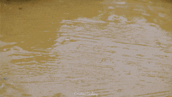 Stop Motion Swimming GIF by CreativeCooking