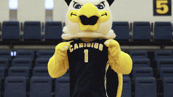 Basketball College GIF by Canisius Athletics