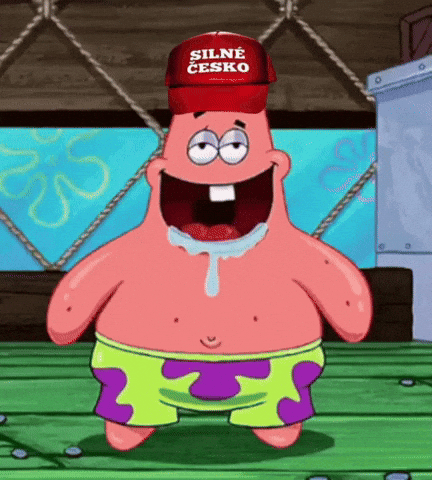 Patrick Silne Cesko GIF