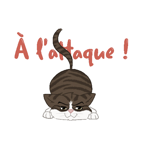 Cat Sticker