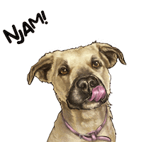 Kod Sata Sticker