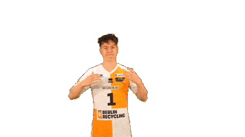 Volleyball Berlin Sticker by BR Volleys