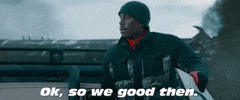 Are We Good Fast And Furious GIF by The Fast Saga