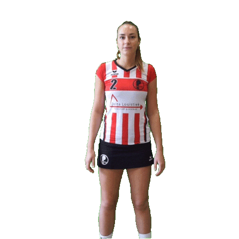 Korfbal Roos Sticker by Fortuna/Delta Logistiek