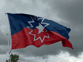Flag Freedom GIF by AceArchive