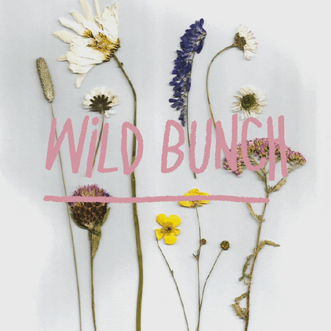 Wild Flowers Wildbunch GIF by itsrach