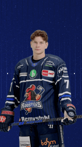 GIF by Iserlohn Roosters