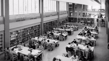 Reading Room Mcgill Archives GIF by McGill University Library