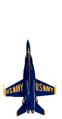 Us Navy Florida Sticker