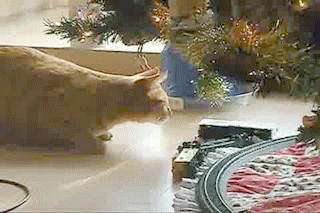 https://media2.giphy.com/media/JglrnzSO8UahW/giphy.gif