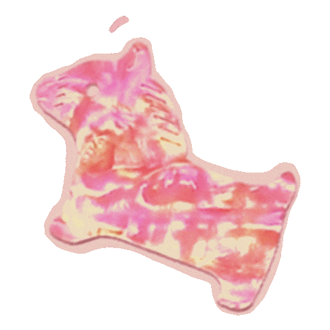 shellang Sticker