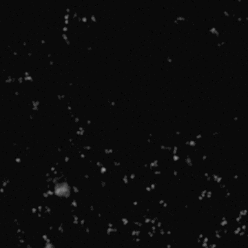 Talks From The Crypt GIF