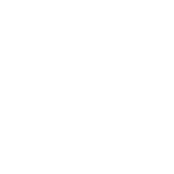 Bfr Sticker by BIG FAT RAVE