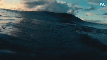 Elasmocean GIF