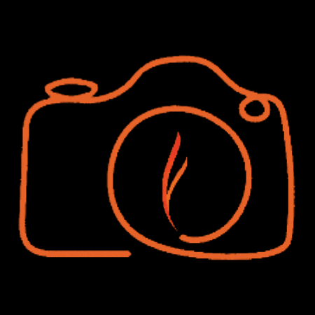 Origen Red de Liderazgo GIF