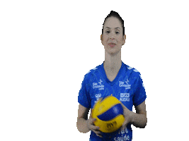 Osasco Voleibol Clube Sticker