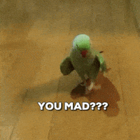 You Mad Gifs Get The Best Gif On Giphy