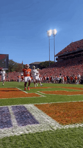 Pick 6 Football GIF by Clemson Tigers