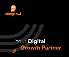 Orange Owl GIF
