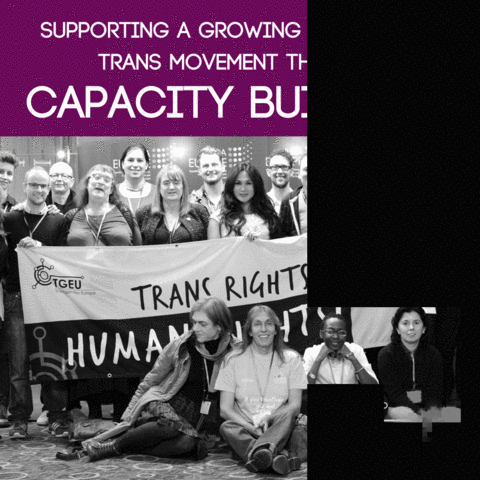 transgendereurope  GIF