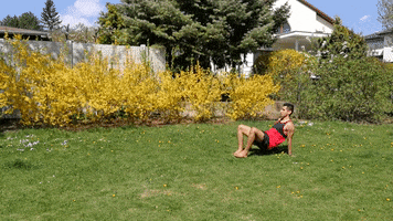 Cangrejo GIF