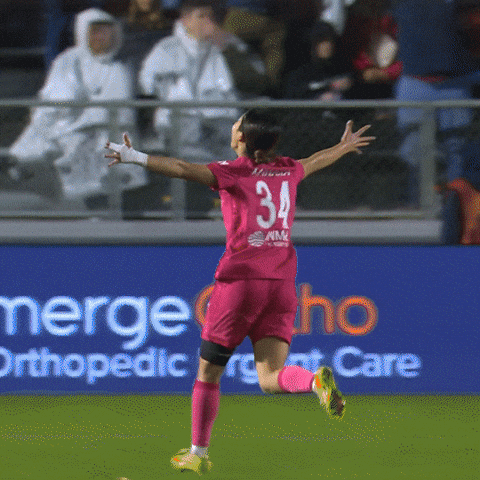 North Carolina GIF by National Women's Soccer League