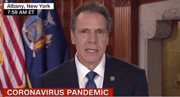 Andrew Cuomo GIF by GIPHY News