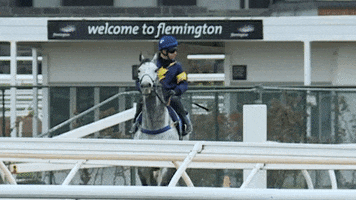 bounce nod GIF by World Horse Racing