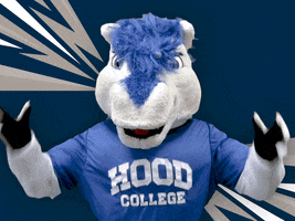 Shock No GIF by Hood College