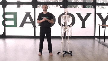 200.gif?cid=fc005b08b7df1a37dc90fbebf89622aadc67b7627a67fcfb&rid=200.gif&ct=g