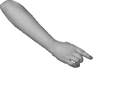 Hand Рука Gosling Sticker