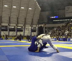 Bjj GIF