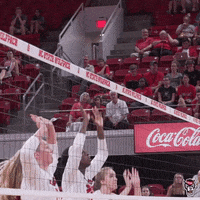 Block Terry GIF by NC State Athletics
