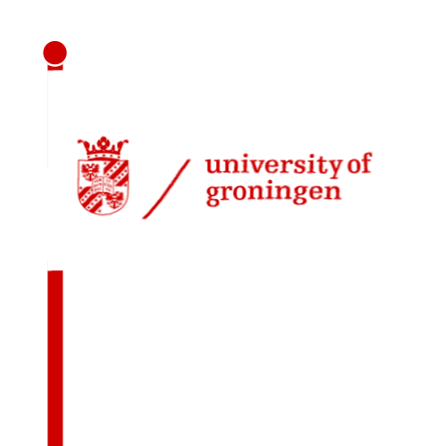 Rug Sticker by University of Groningen