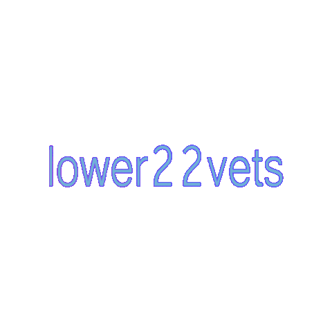 lower22vets Sticker