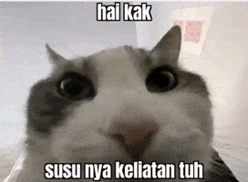 Karbit GIF