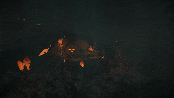 Catacombs Heart Of Fire GIF by Sea of Thieves