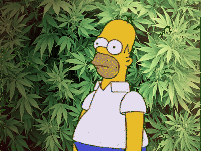 Weed (source: giphy)