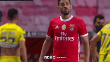 Angry Sl Benfica GIF by Sport Lisboa e Benfica