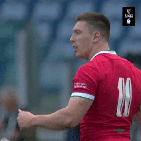 Wales Rugby Thumbs Up GIF by Guinness Six Nations