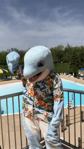 Dundee_Township_Park_District dance swimming splash dolphin GIF