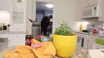Laundry GIF