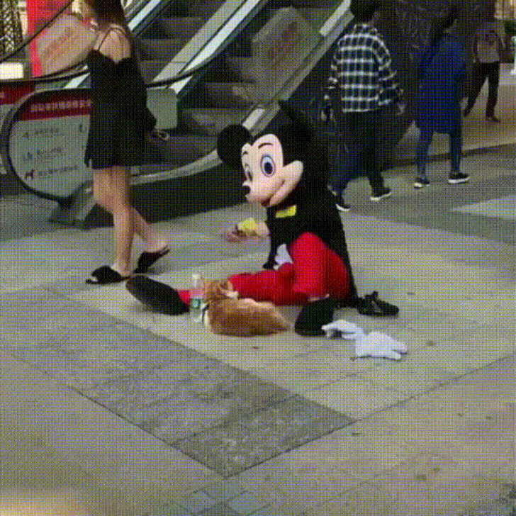 JustViral funny cute omg hilarious GIF