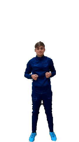 Sticker by Profinz Van Hemert