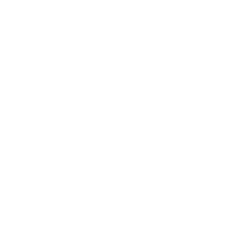 Hospital Nossa Senhora das Neves Sticker