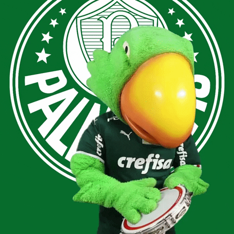 Palmeiras dance soccer musica futebol GIF