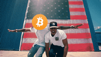 Jay Z Bitcoin GIF by Crypto GIFs & Memes ::: Crypto Marketing